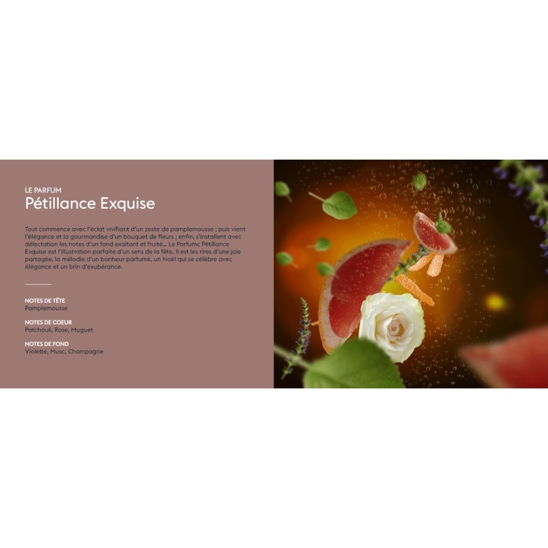 Pétillance exquise - Recharge bouquet