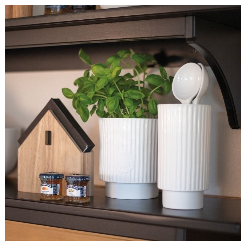 Cache Pot Friends Keep On Growing Medium