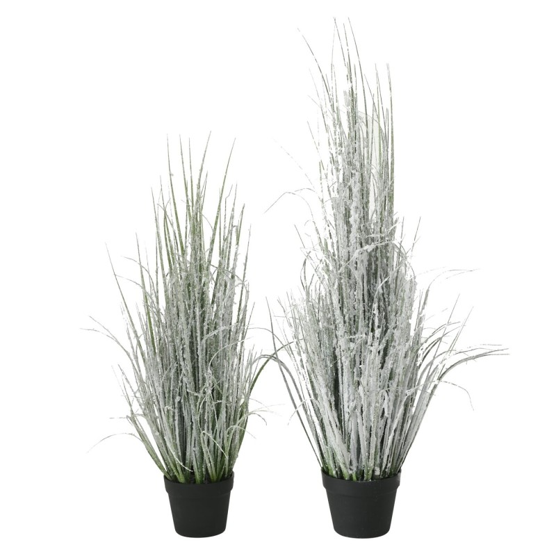 Graminé Neige 88cm