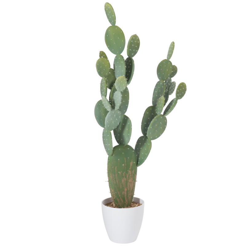 Cactus en pot version XXL