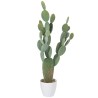 Cactus en pot version XXL