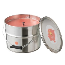 PAINT Bougie extérieure à la citronelle couleur Blush