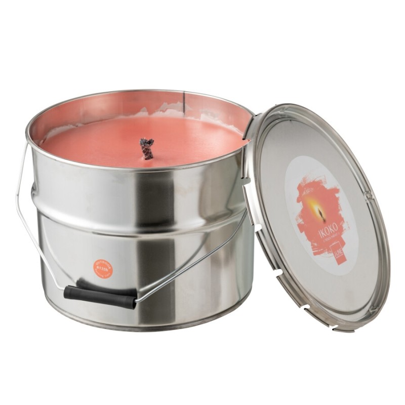 PAINT Bougie extérieure à la citronelle couleur Blush
