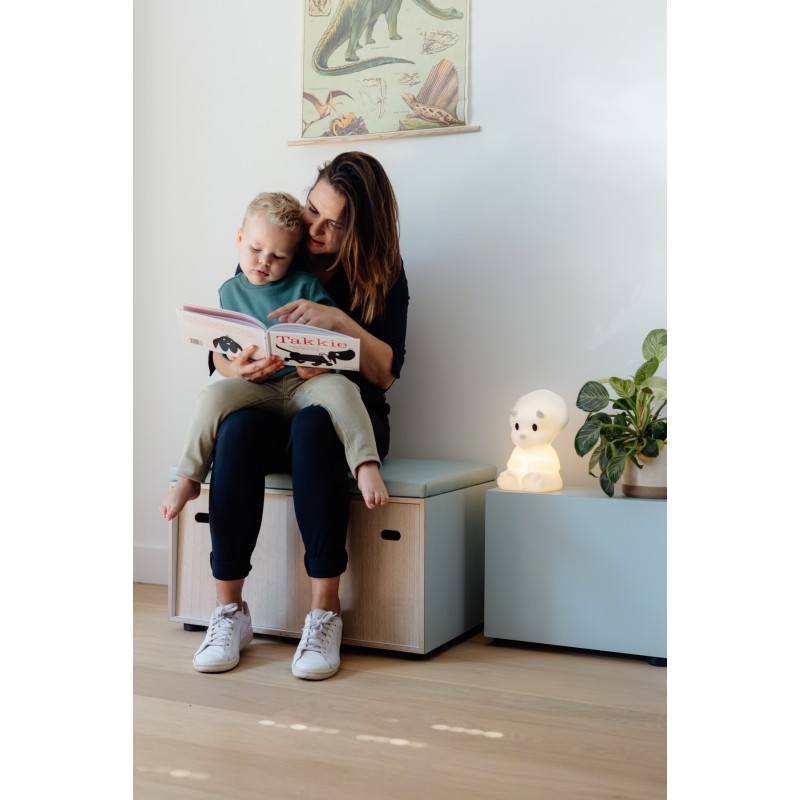 MIRA Lampe rechargeable