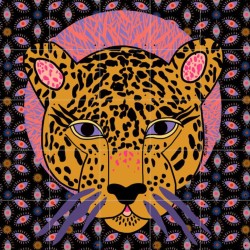 Jaguar Poster 100x100
