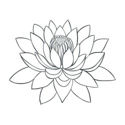 Lotus de 5 Tattoos
