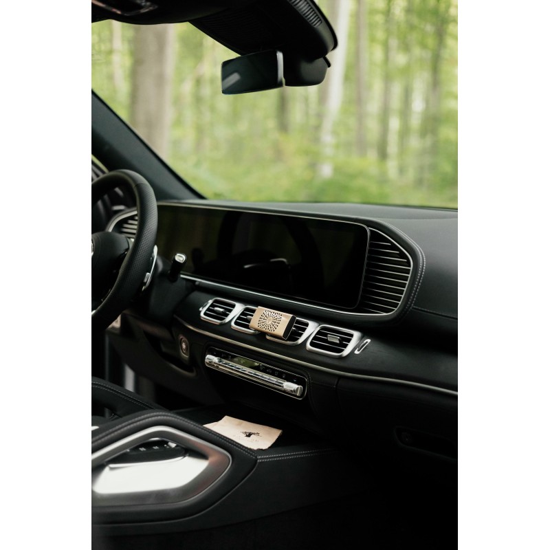 Pearls White Diffuseur voiture Champagne