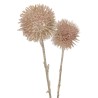 Branche Echinops 5 fleurs paillettes rose champagne