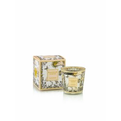 Tomorrowland Edition Limitée 2025 Bougie My First baobab MFB