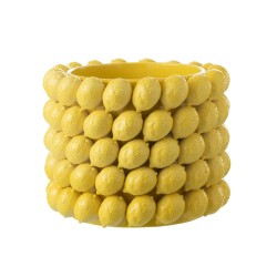 Citrons Cachepot XL