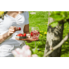 EGOISTE Set de service apero planchette en acacia +coupelle x2