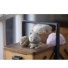 Chat Hoptimist chat beige