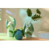 Perroquets vases /céramique