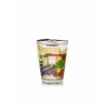 Provence Baobab Collection limitée