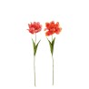 Tulipes en tige 66 cm
