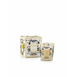 Tomorrowland Edition Limitée 2026 Bougie My First baobab MFB