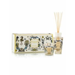 Tomorrowland Edition Limitée 2026 Coffret cadeau My First baobab MFB