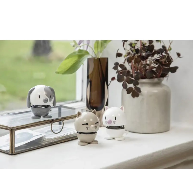 Chat Hoptimist chat blanc