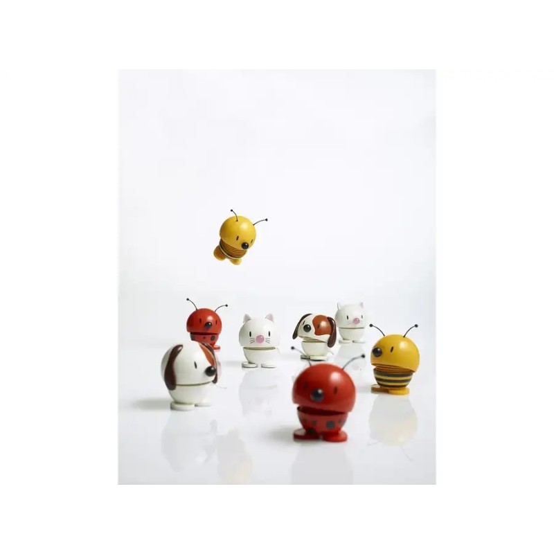 Chat Hoptimist chat blanc