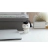 LE DIPLOME Hoptimist sport Bumble