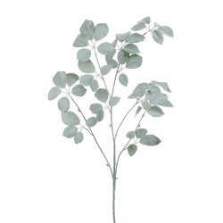 Branche Schefflera Givrée