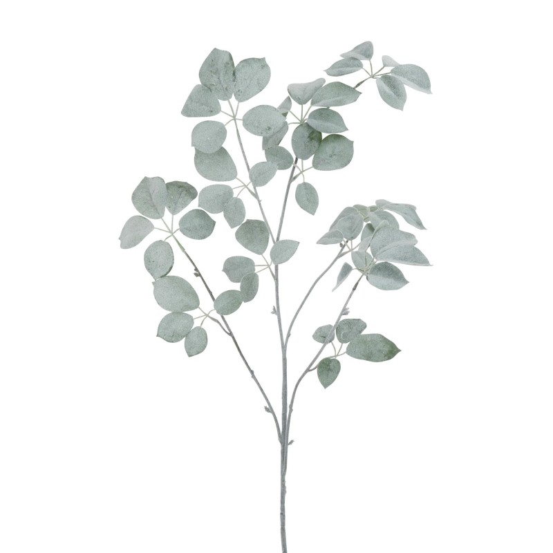 Branche Schefflera Givrée