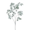 Branche Schefflera Givrée