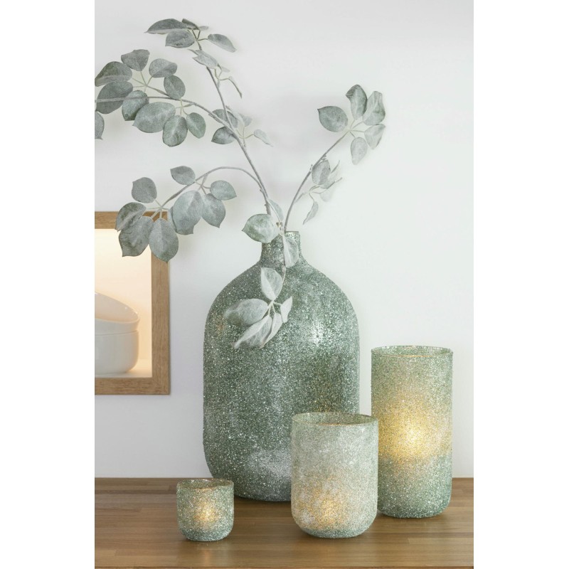 Branche Schefflera Givrée