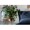 Edison the ambiance Lampe de table