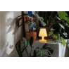 Edison the ambiance Lampe de table