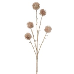 Branche Echinops 5 fleurs paillettes rose champagne
