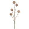 Branche Echinops 5 fleurs paillettes rose champagne