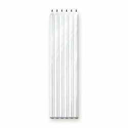 Bougies longues anniversaire S/6 Blanches nacrées