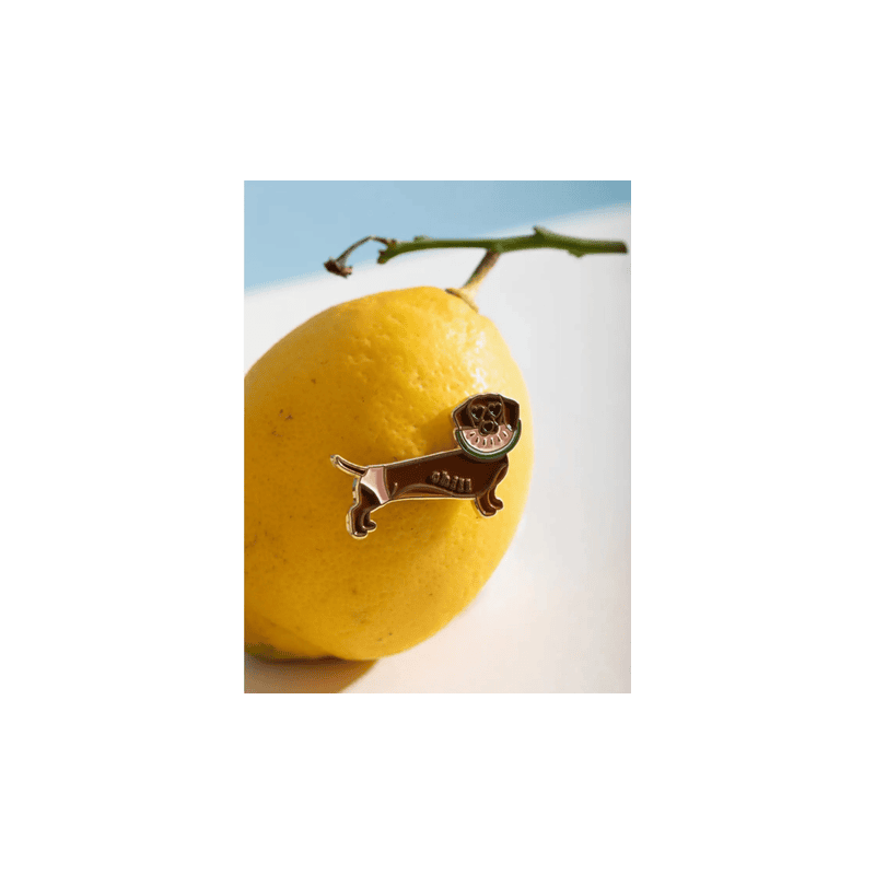 Pins Chill Teckel pasteque