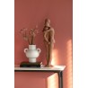 Eleonore Plante Grasse Vieux Rose
