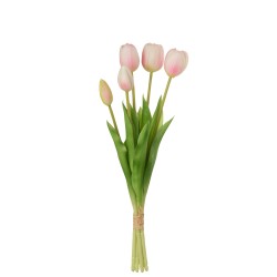 Bouquet Tulipes Rose Pâle