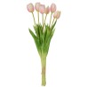 Bouquet Tulipes Rose Pâle