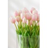 Bouquet Tulipes Rose Pâle
