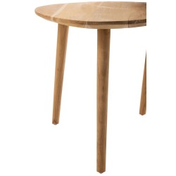 Set De 2 Table Gigogne ALISS Tek Nature