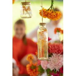 Bouteille fleurs sechees à poser ou suspendre