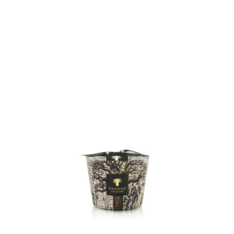 MORONDO Baobab Collection Sacred Tree