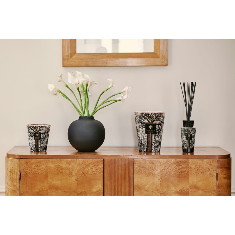 MORONDO Baobab Collection Sacred Tree