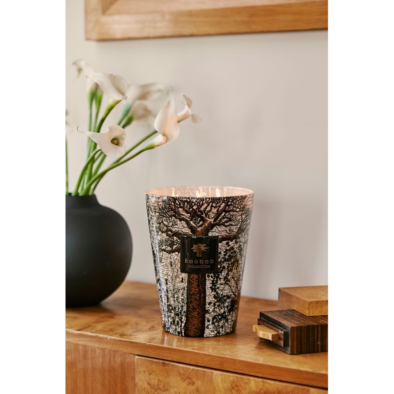 MORONDO Baobab Collection Sacred Tree