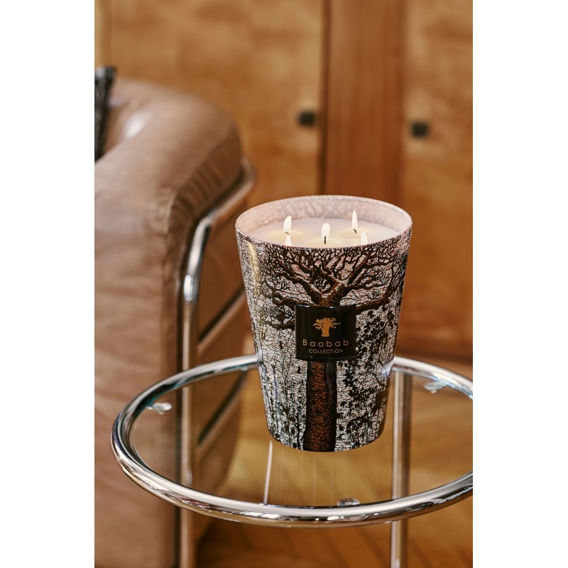 MORONDO Baobab Collection Sacred Tree