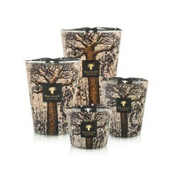 MORONDO Baobab Collection Sacred Tree