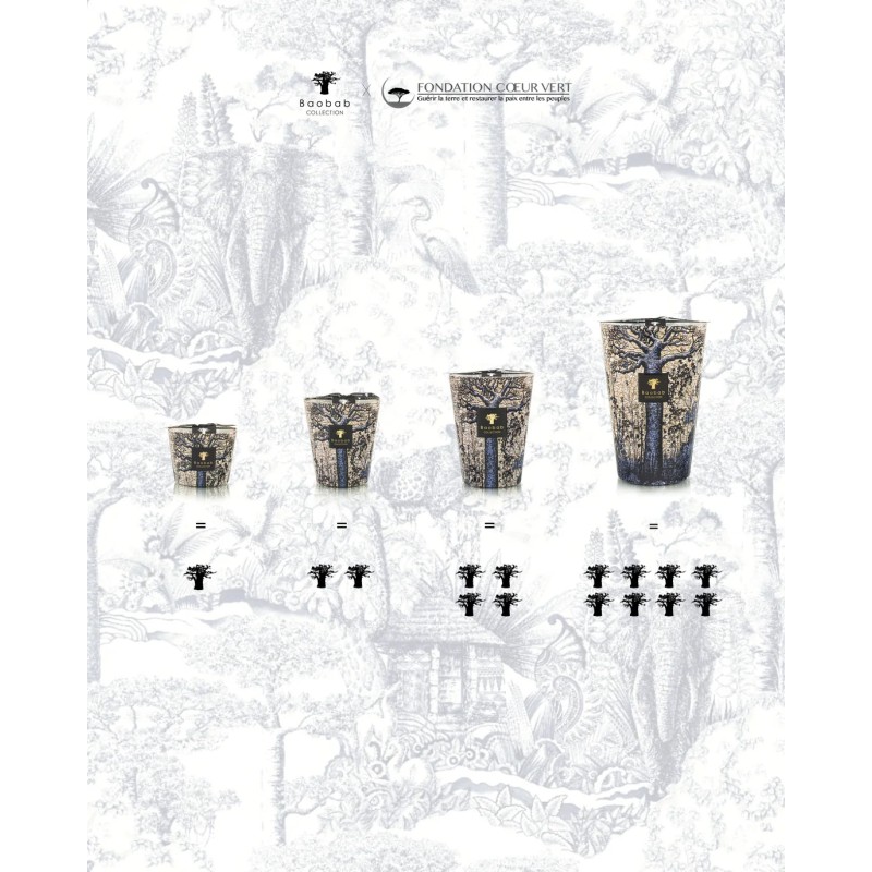 MORONDO Baobab Collection Sacred Tree