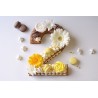 Number CAKE Kit