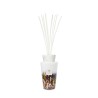 Tanjung Diffuseur TOTEM BAOBAB Collection Rainforest