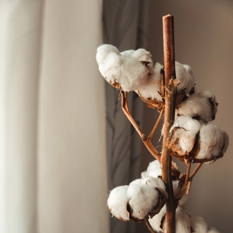 BRUME DE COTON Flacon de parfum pour diffuseur By Sens.