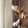 BRUME DE COTON Flacon de parfum pour diffuseur By Sens.